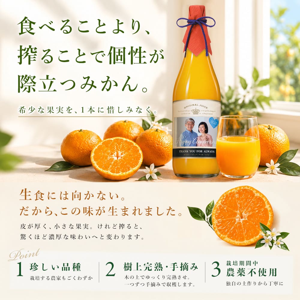 オリジナルジュース 720ml オリジナルジュース 720ml （オレンジ）