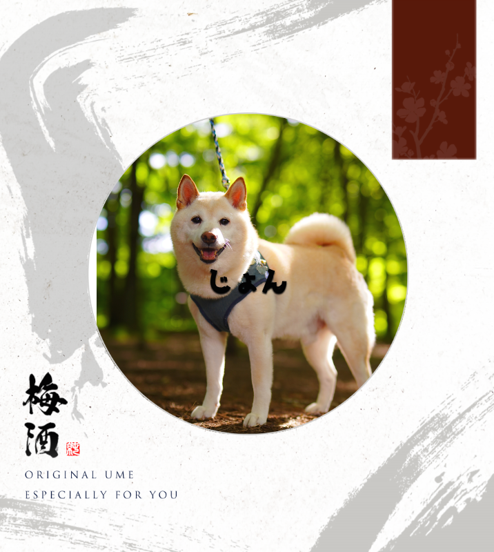 オリジナルペットギフトのラベルサンプル13550