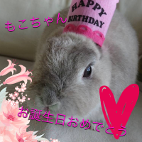 愛らしいウサギさんのお誕生日を記念したオリジナルシャンパン♪バースデーハットが素敵です♪スナップリカー