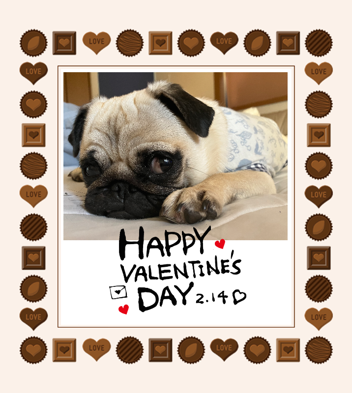 オリジナルバレンタインデーギフトのラベルサンプル13552