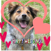 ご家族にはもちろんご友人の結婚記念日にもおすすめです!!大好きな愛犬の写真を使って可愛さ満点のオリジナルの一本になること間違いないですね♡スナップリカー