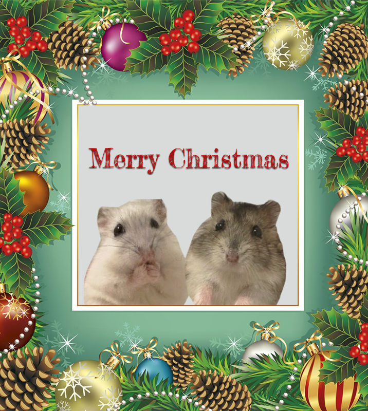 オリジナルクリスマスギフトのラベルサンプル13393