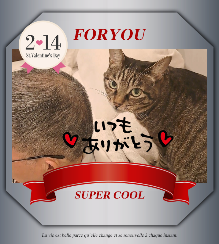 オリジナルバレンタインデーギフトのラベルサンプル13562