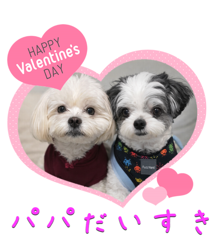 オリジナルバレンタインデーギフトのラベルサンプル13537