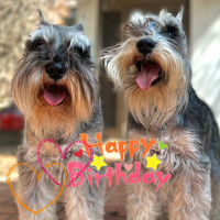 愛犬のお写真を使用したオリジナルラベル♪お誕生日をステキにお祝い！スナップリカー