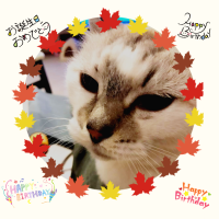 紅葉なカラフルなフレームに愛猫のお顔がとってもよく映えているお誕生日祝いのオリジナルラベルですね♪スナップリカー