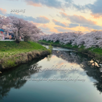桜の綺麗な写真をオリジナルラベルに❀✨川に写し出される空と桜が素敵な写真ですね！スナップリカー