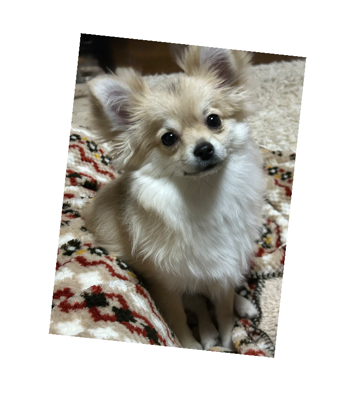 オリジナル記念日ギフトのラベルサンプル13525