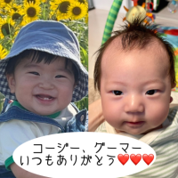 オリジナルシーン未設定ギフトのラベルサンプル8497