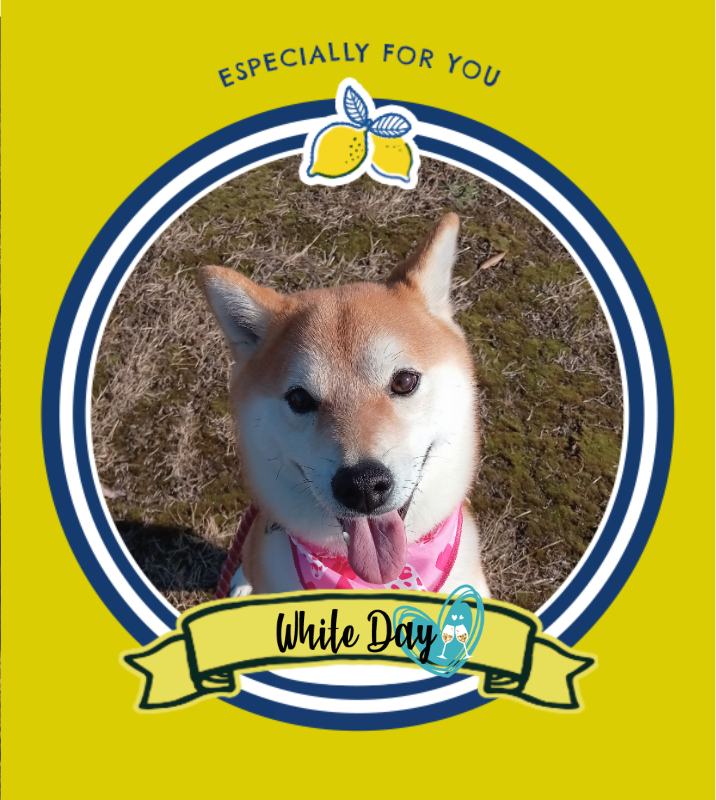 オリジナルペットギフトのラベルサンプル13617