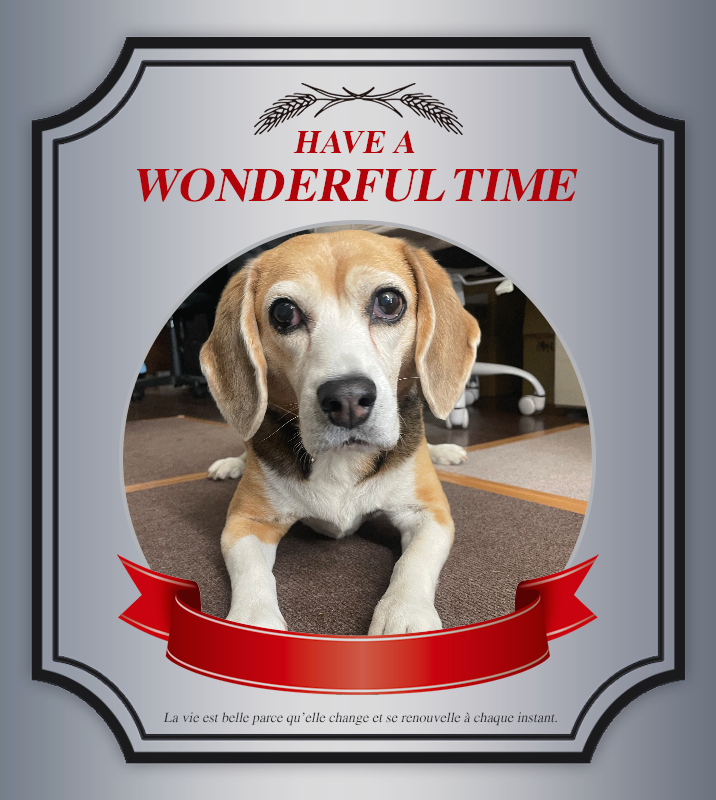 オリジナルペットギフトのラベルサンプル13415