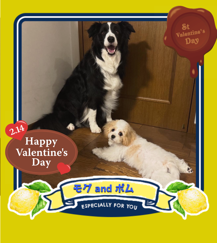 オリジナルバレンタインデーギフトのラベルサンプル13520