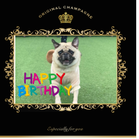 愛犬のお誕生日をお祝いするシャンパンのオリジナルラベル♪愛犬との思い出をお酒とともに楽しむ記念品です♪スナップリカー
