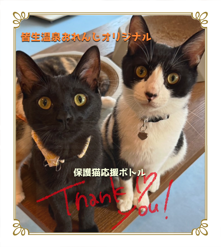 オリジナルペットギフトのラベルサンプル13380