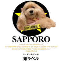 オリジナルシーン未設定ギフトのラベルサンプル6403