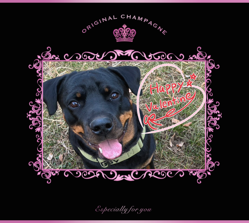 オリジナルバレンタインデーギフトのラベルサンプル13539