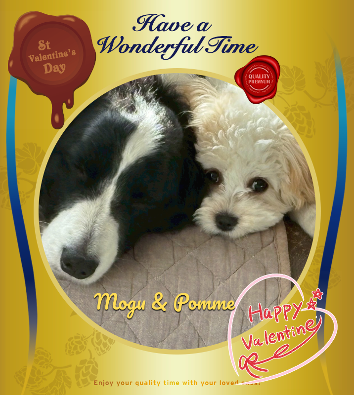 オリジナルバレンタインデーギフトのラベルサンプル13521