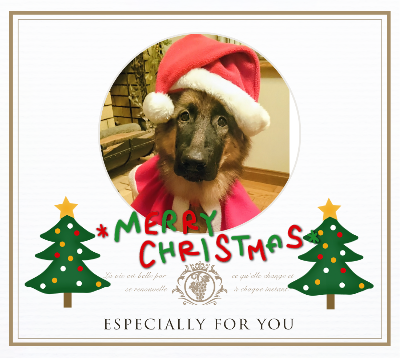 オリジナルクリスマスギフトのラベルサンプル13376