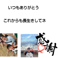 オリジナルシーン未設定ギフトのラベルサンプル8337