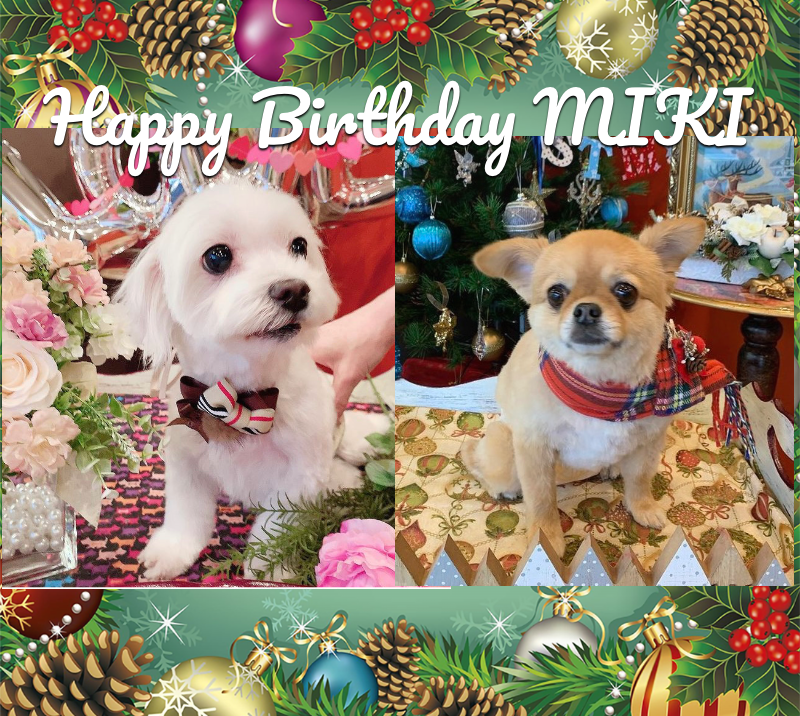 オリジナル誕生日ギフトのラベルサンプル13373