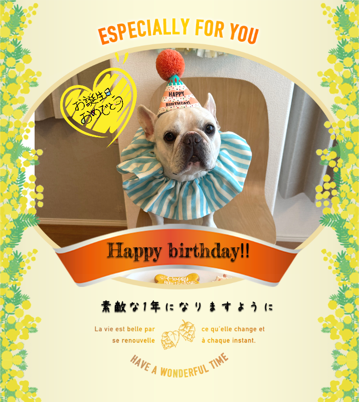 オリジナル誕生日ギフトのラベルサンプル13546