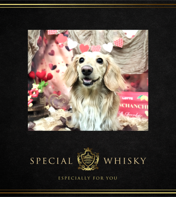 オリジナルバレンタインデーギフトのラベルサンプル13531