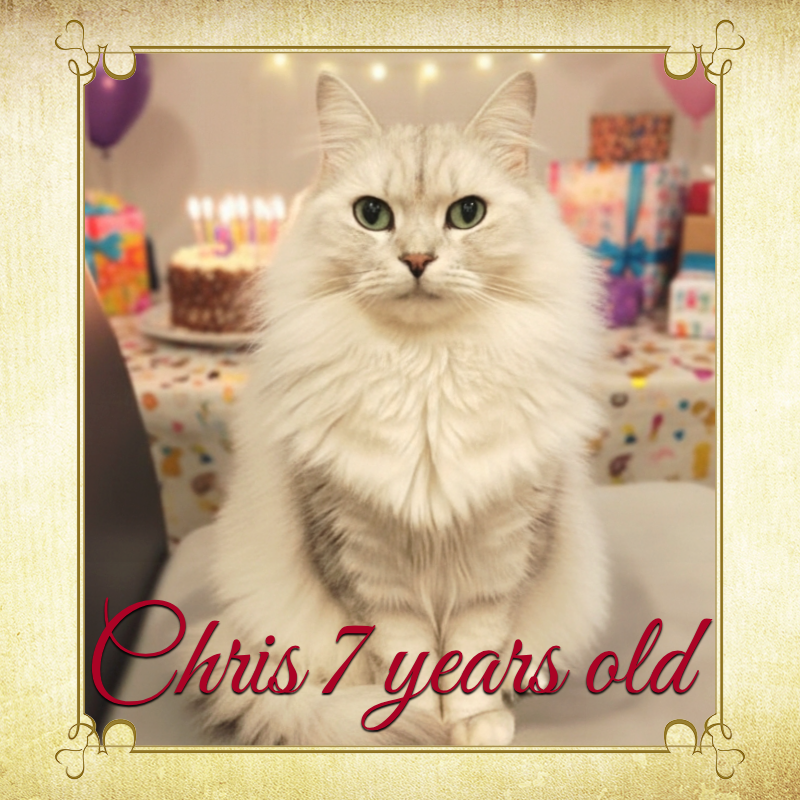 オリジナル誕生日ギフトのラベルサンプル13496