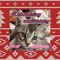 可愛い猫ちゃんのお写真で結婚記念日のオリジナルラベルを作成♪お二人の大切な積み重ねをお祝いする日本酒の記念品です♪スナップリカー