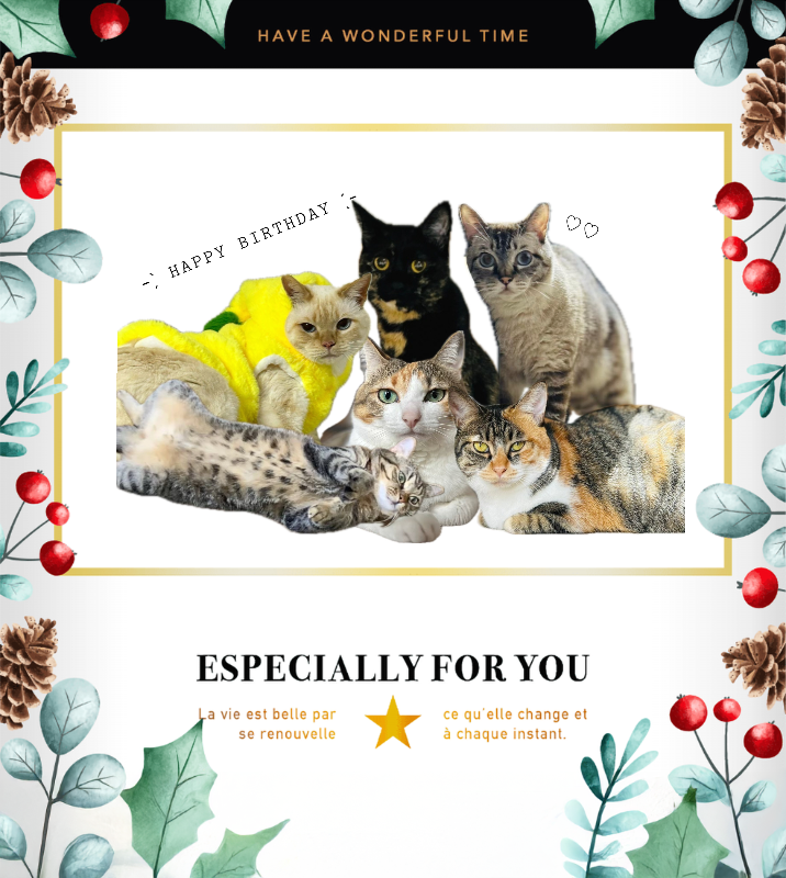 オリジナル誕生日ギフトのラベルサンプル13399