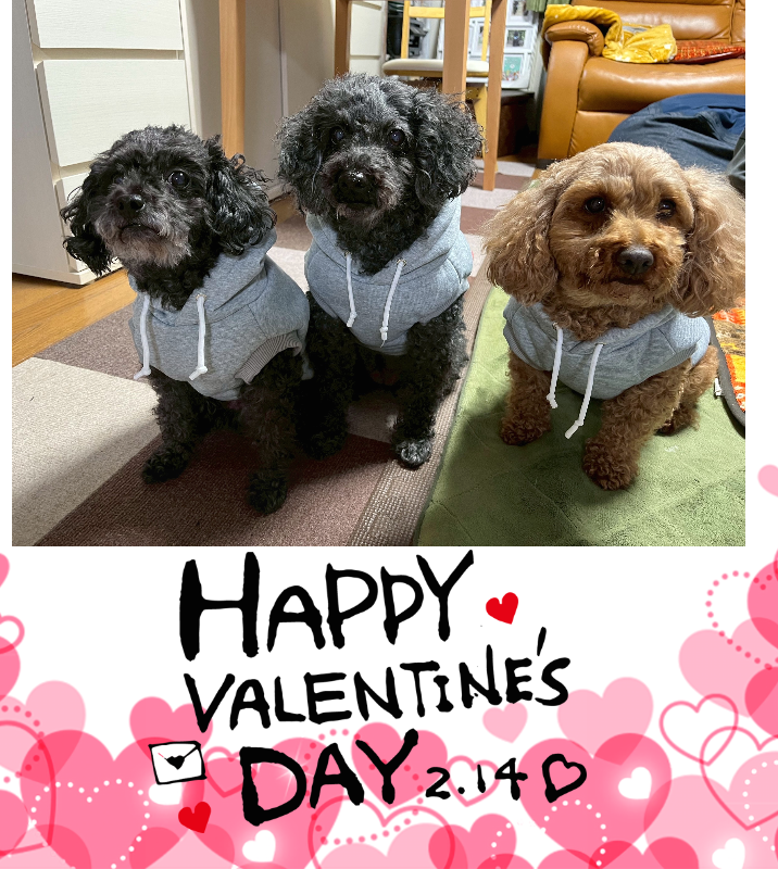 オリジナルバレンタインデーギフトのラベルサンプル13535