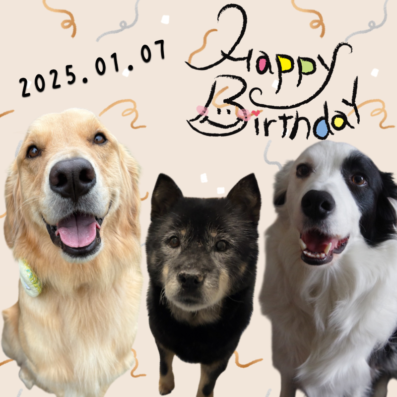 オリジナル誕生日ギフトのラベルサンプル13437